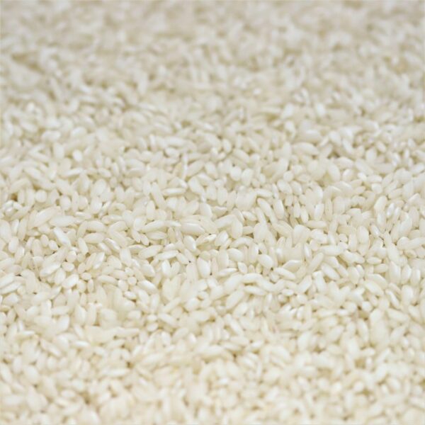 Arborio / Risotto Rice