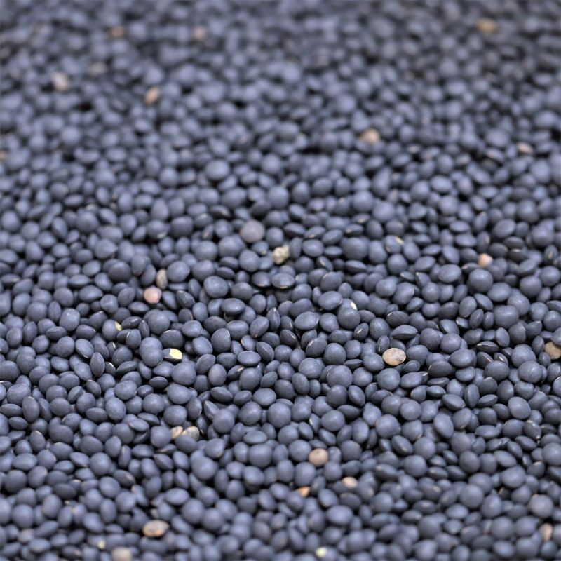 Black Beluga Lentils