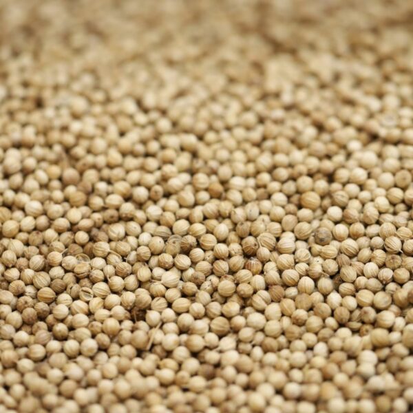 Coriander Seeds