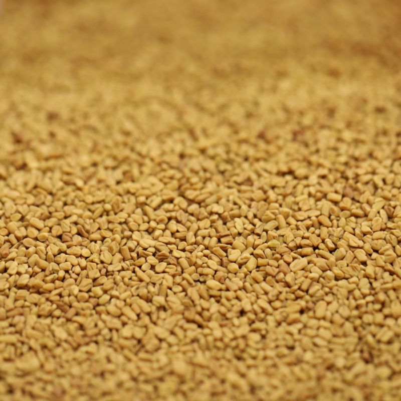 Fenugreek Seeds