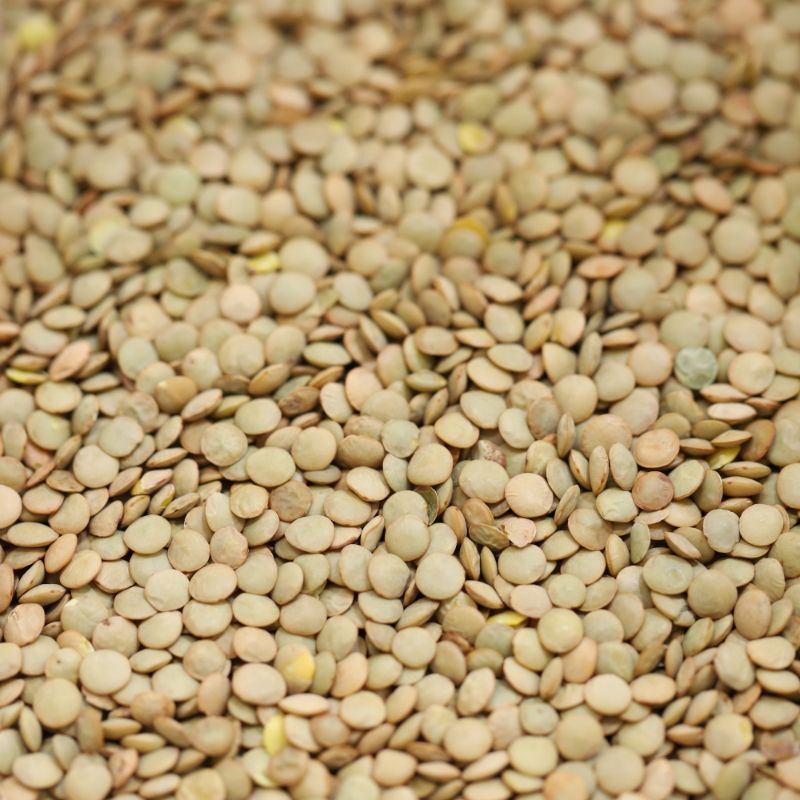 Green Lentils