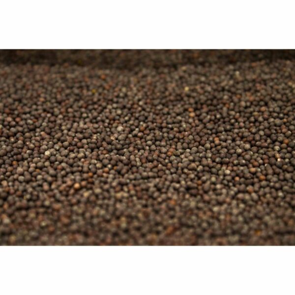 Mustard Seeds Brown