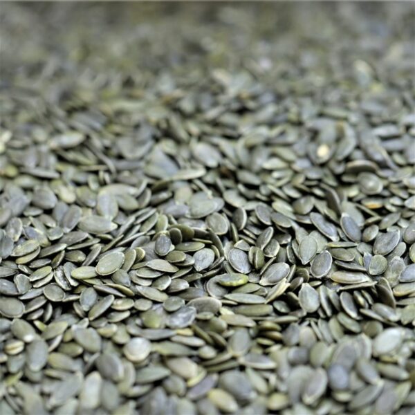 Pumpkin Seeds