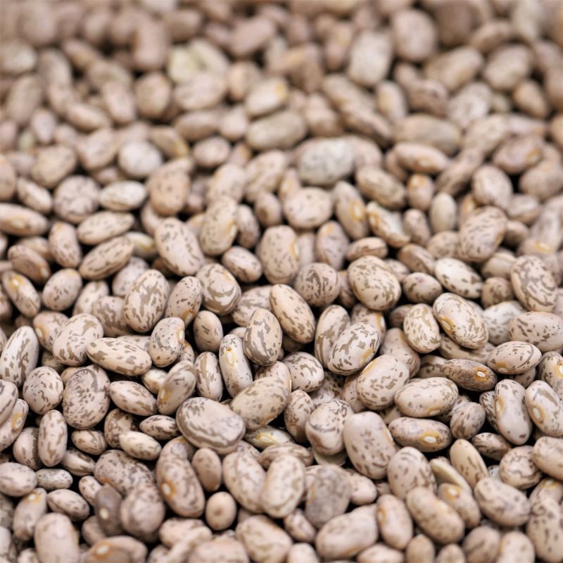 Pinto Beans