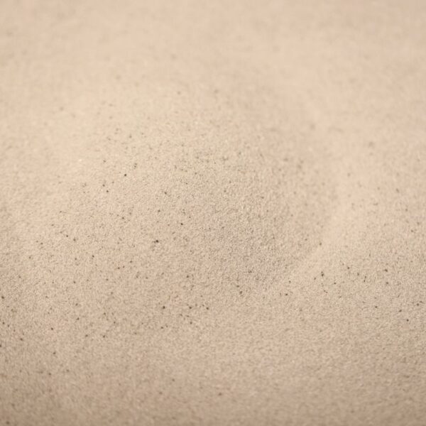 Pumice Stone Exfoliating Powder Scoop Wholefoods Bristol