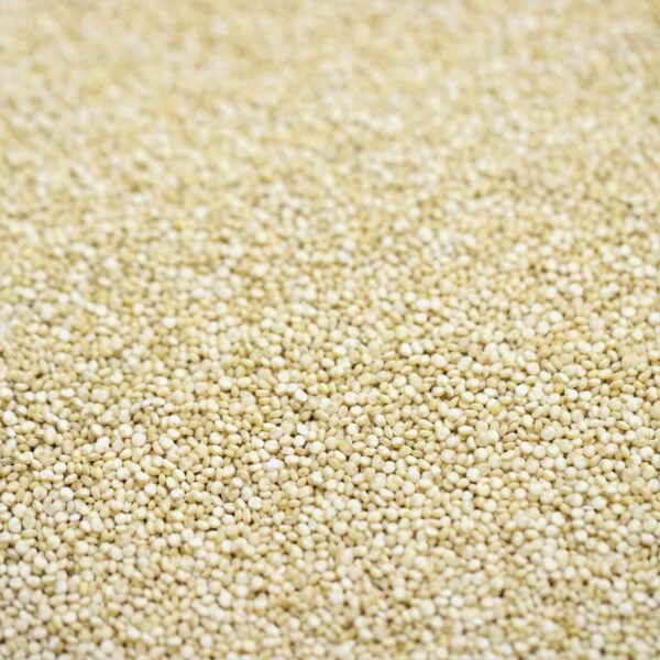 Quinoa White (UK)